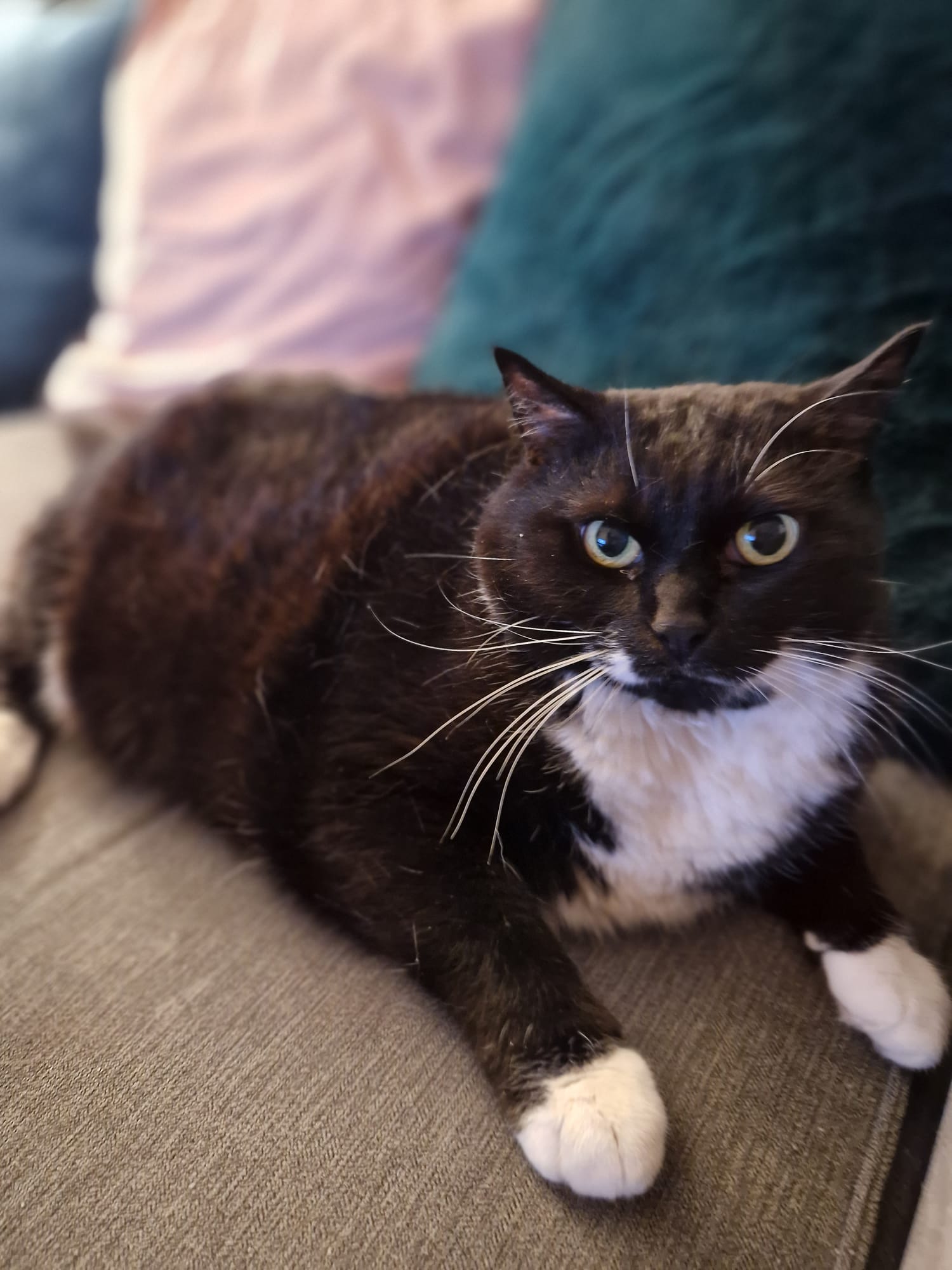 Izzy